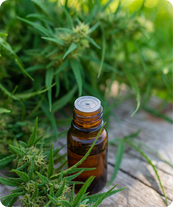 Card payments built for CBD and hemp merchants